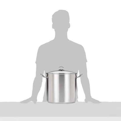 GSW Profi-Topf mit Glasdeckel, Edelstahl, 20 l, induktionsgeeignet