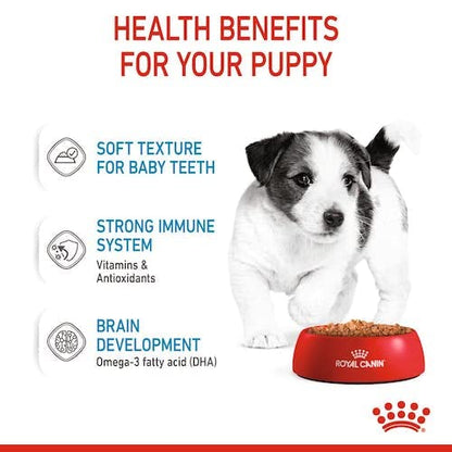 Royal Canin Mini Puppy Nassfutter für Welpen - 4er Pack 4x12x85g