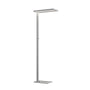 Arcchio LED Büro Stehlampe dimmbar Uplight/Downlight - silber. Schlanke, silberne Stehleuchte für gerichtetes/indirektes Licht im Büro.