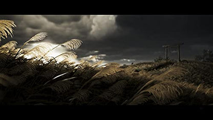 SONY PS5 Ghost of Tsushima Director's Cut Videospiel