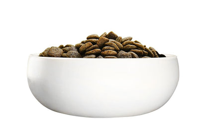 Green Petfood VeggieDog Trockenfutter Kartoffel & Erbse 10 kg