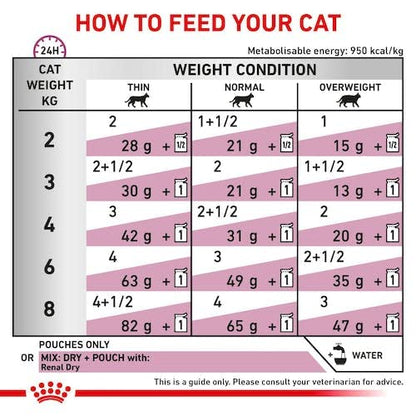 Royal Canin Vet Renal Fish Diät Katzenfutter – 4x12x85g