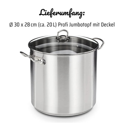 GSW Profi-Topf mit Glasdeckel, Edelstahl, 20 l, induktionsgeeignet