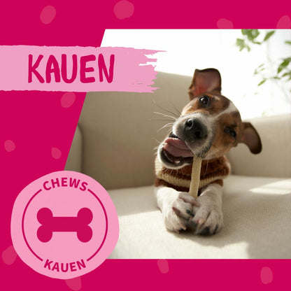 DOKAS Kaurippe mit Entenbrust, getreidefreier Hundesnack, 10 x 210 g