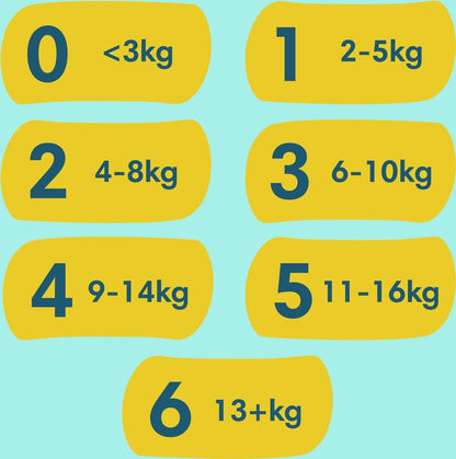 Pampers Premium Protection Windeln Grösse 6 - 74 Stück