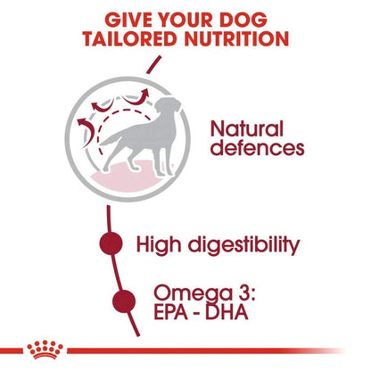 Royal Canin Medium Adult Hundefutter für mittelgrosse Hunde – 10 kg Beutel