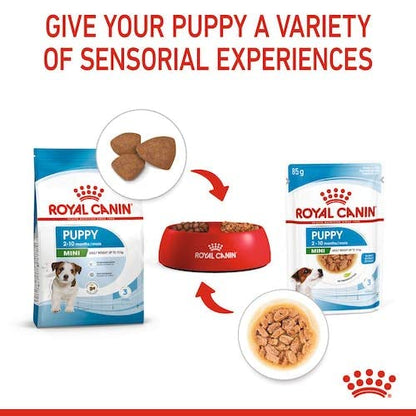 Royal Canin Mini Puppy Nassfutter für Welpen - 4er Pack 4x12x85g