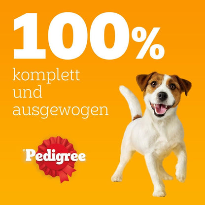 Pedigree Dogcare Hundefutter Chunks in Gelee Adult 84 x 100 g