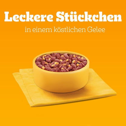Pedigree Dogcare Hundefutter Chunks in Gelee Adult 84 x 100 g