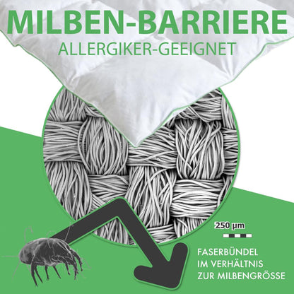 Welldora Komfort Federbett Daunendecke - 200x200 Ganzjahr