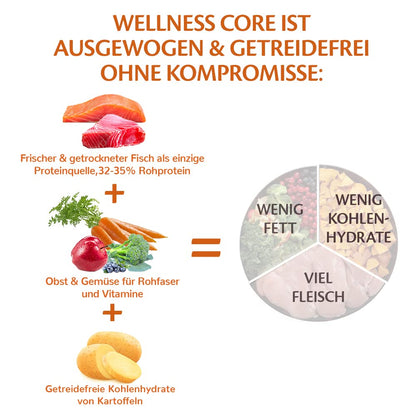 Wellness CORE Ocean Hundefutter trocken – Lachs & Thunfisch 10 kg
