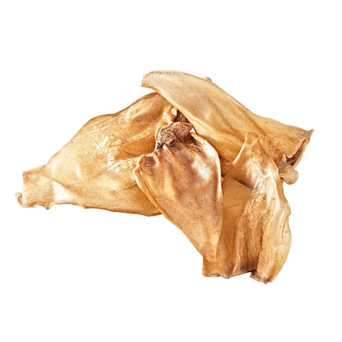 Hund dabei! Büffel-Ohren Natur-Snack - 100 Stück Vorratspaket. Braune, getrocknete Büffelohren als natürlicher Kausnack für Hunde.