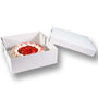 Europack24 Tortenkartons 32x32x12 cm, 50 Stück, 2-teilig aus Pappe, weisse Kartons mit Deckel
