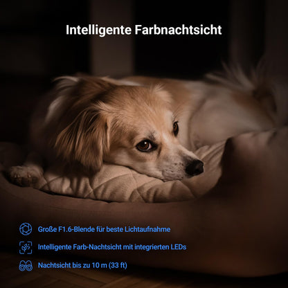 EZVIZ C6N G1 4K Überwachungskamera innen mit WLAN und Farbnachtsicht
