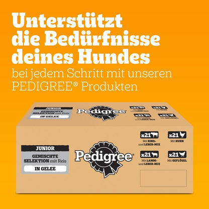 Pedigree Dogcare Hundefutter Junior Chunks in Gelee 84 x 100 g
