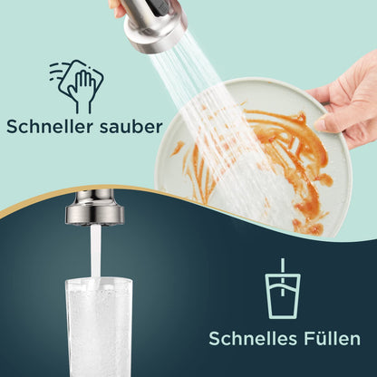 FORIOUS Küchenarmatur Hochdruck mit herausziehbarer Brause, Edelstahl