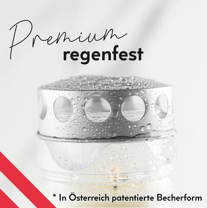 Hofer Friedlicht Grabkerzen Sehnsucht Select, 6er Set, 7 Tage