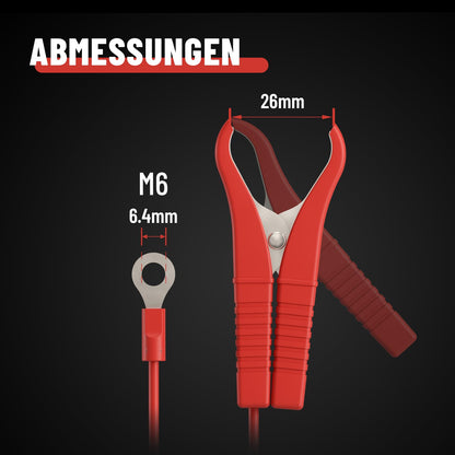 ABSINA Batterieladegerät 3,8 A für 6V/12V Blei- & 12,8V Lithium-Akkus