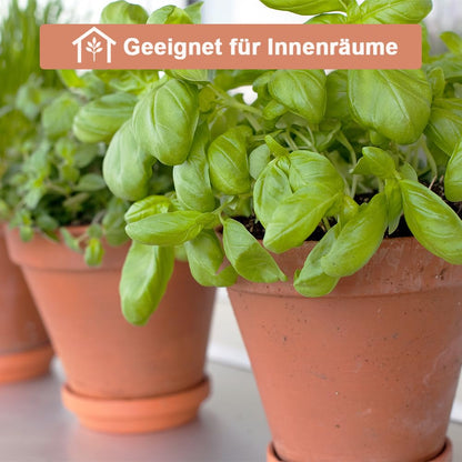 vensovo Terrakotta-Blumentopf 20 cm mit Untersetzer, 2er-Set