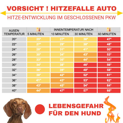 Rosi's Barf-Glück Alu-Schattennetz 4x6 m – Hitzeschutz für Auto