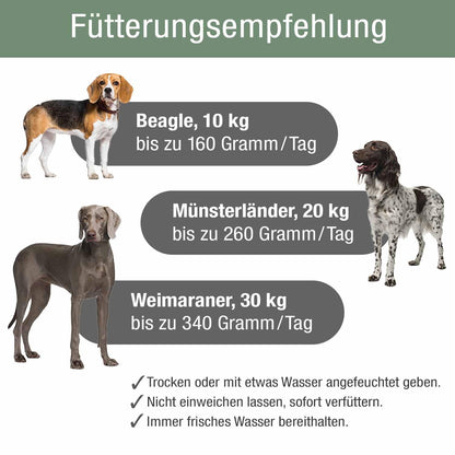 PLATINUM Adult Iberico Hundetrockenfutter mit Schweinefleisch, 5 kg