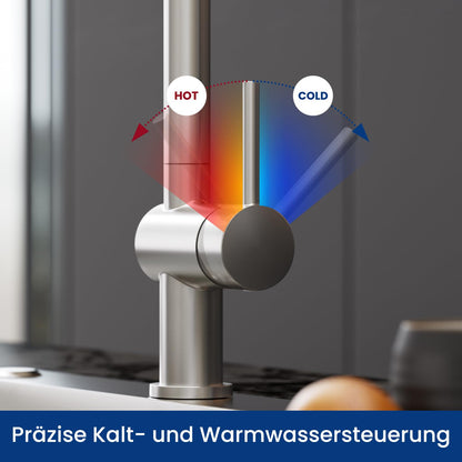 CECIPA Küchenarmatur ausziehbar, 360° Einhebelmischer, Edelstahl