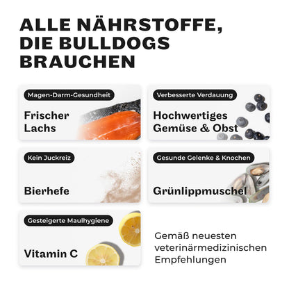 HEY HOLY Premium Trockenfutter Bulldoggen – Getreidefrei Lachs 7kg