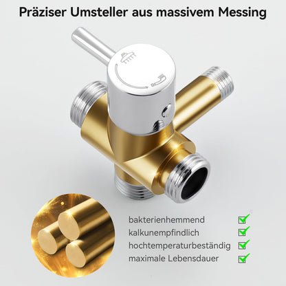 Auralum Regendusche Duschsystem Edelstahl ohne Armatur 30x30 cm Chrom