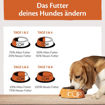 Wellness CORE Ocean Hundefutter trocken – Lachs & Thunfisch 10 kg