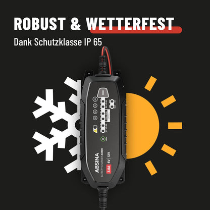 ABSINA Batterieladegerät 3,8 A für 6V/12V Blei- & 12,8V Lithium-Akkus