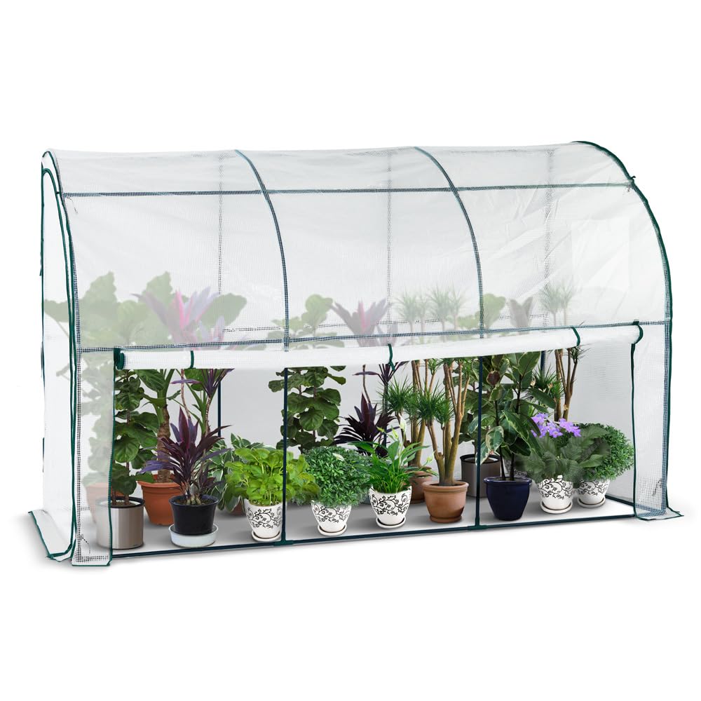 VOUNOT® Anlehngewächshaus Tomatengewächshaus 300x100x180cm. Transparentes Wandgewächshaus für Tomatenanbau.