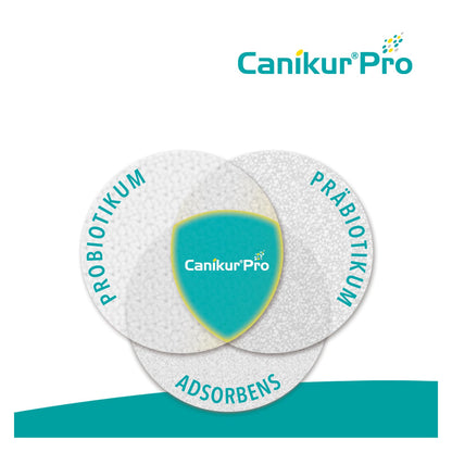 Boehringer Ingelheim Canikur Paste Ergänzungsfutter - Doppelpack 2x60ml