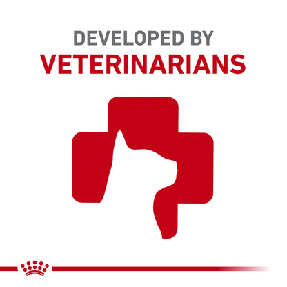 Royal Canin BREED HEALTH NUTRITION Maine Coon Trockenfutter - 6-Pound