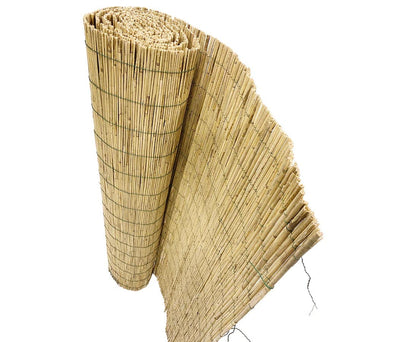 bambus-discount.com Schilfmatte bambussi 180 x 500 cm Sichtschutz