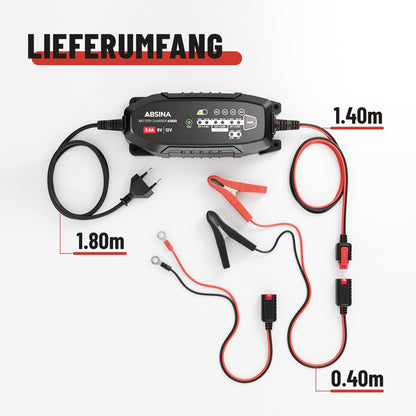 ABSINA Batterieladegerät 3,8 A für 6V/12V Blei- & 12,8V Lithium-Akkus