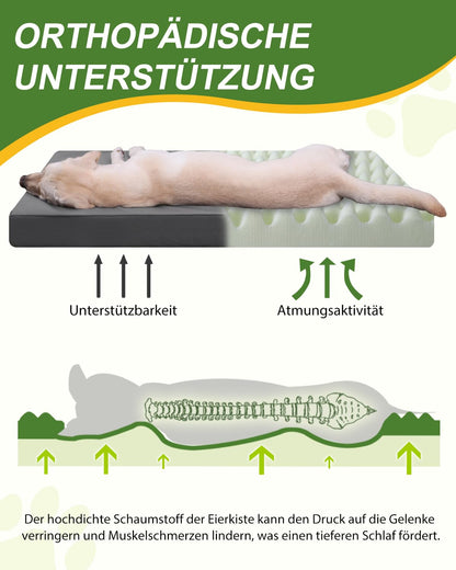 Favodormir Orthopädisches Hundebett für grosse Hunde 119x73cm Grau