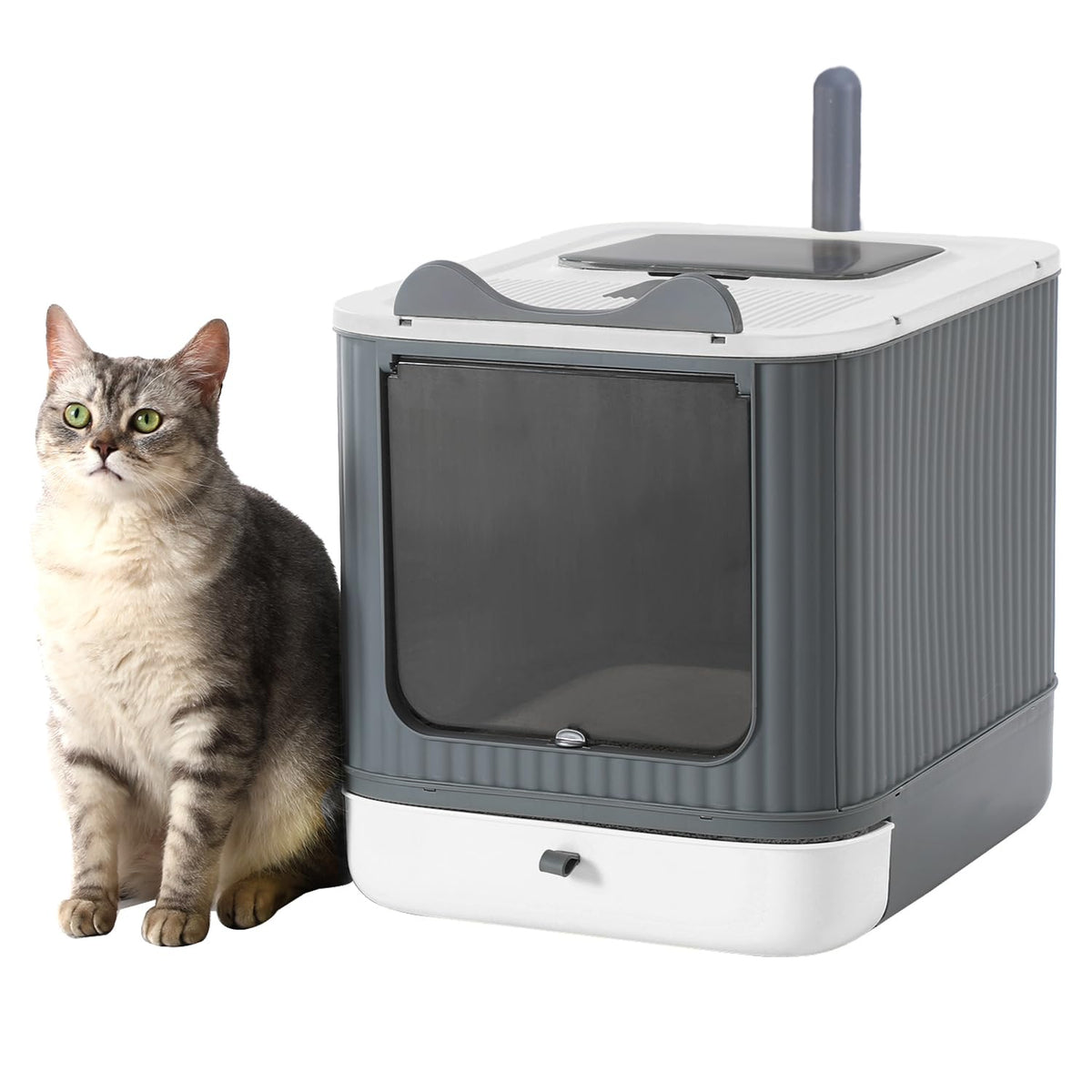 LCZLBRRD Katzentoilette Mb-3m-gw, geschlossen mit Deckel, faltbar, weiss-grau mit Katzenohren-Design