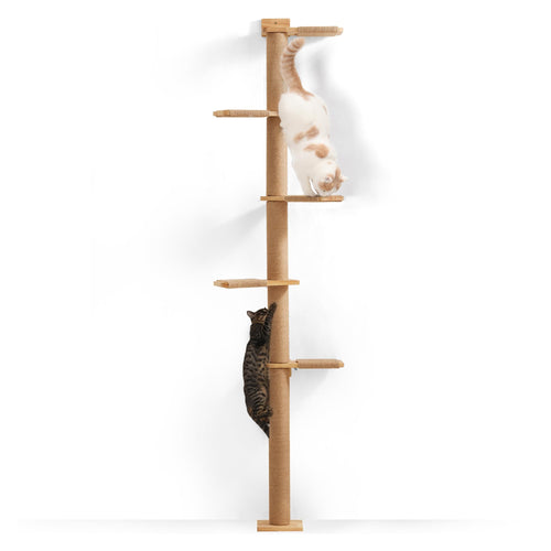 FUKUMARU Kratzbaum Deckenhoch Wandmontage – 206cm Gummibaumholz. Aus hellem Gummibaumholz, bietet Kletter-, Kratz- und Ruheflächen für Katzen.