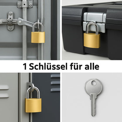 legunto Vorhängeschloss Set 6x gleichschliessend, Stahl, 38 mm