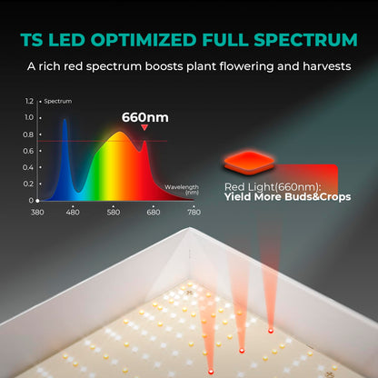MARS HYDRO TS1000 LED Vollspektrum Wachstumslampe