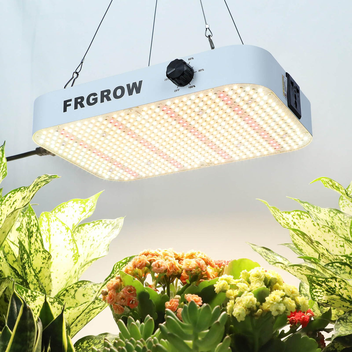 FRGROW 2025 Upgrade 200W LED Pflanzenlampe Dimmbar Vollspektrum: LED-Panel. Dimmbares Vollspektrum-Pflanzenlicht.