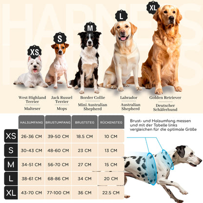 FREUDENTIER Clyde Hundegeschirr mit Mesh-Polsterung, Orange, M