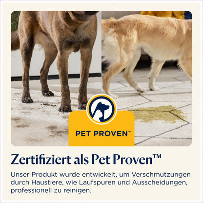 BISSELL PowerWash Compact Pet Teppich- und Polsterreiniger 4058N