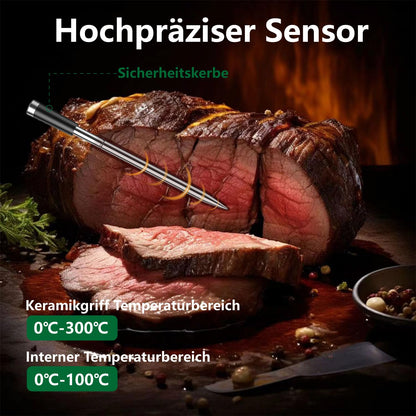 BFOUR BF-40 Bluetooth-Grillthermometer mit 2 Sonden und LCD-Display