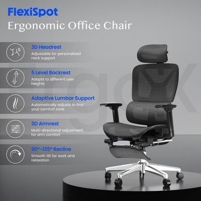 FLEXISPOT ErgoX ergonomischer Bürostuhl mit 3D-Armlehnen, schwarz