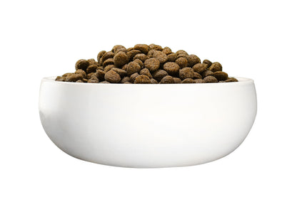Green Petfood InsectDog Sensitive Trockenfutter Insekten & Reis 10 kg