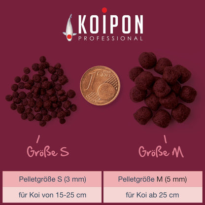 KOIPON Premium Störfutter 6 kg sinkend, Teichfutter Pellets 5-6 mm