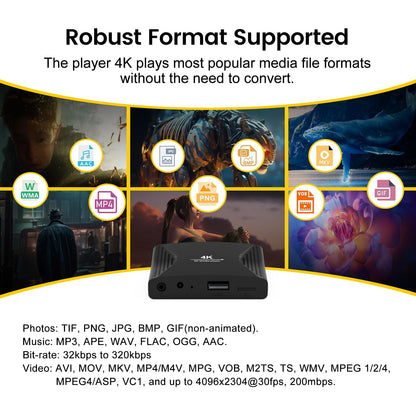 ZUMKUNM 4K Media Player für USB und Micro-SD mit HDMI und AV