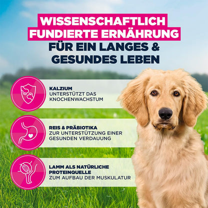 Eukanuba Welpenfutter mit Huhn, Trockenfutter für grosse Rassen, 15 kg