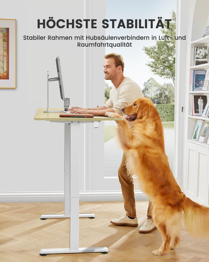 ErGear Schreibtisch Elektrisch Höhenverstellbar - 100x60 cm